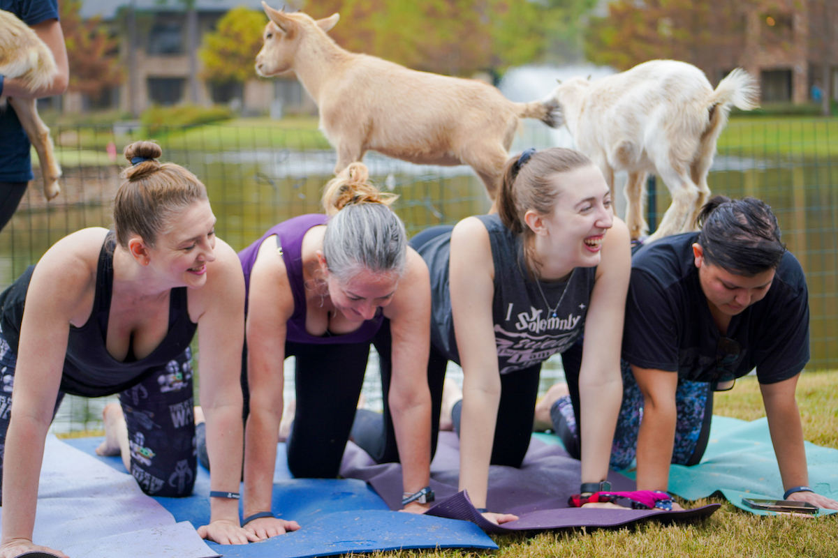 Woodlands Resort - DiningOut Fourth of July goat yoga at the Woodlands Resort. | Photo by the Woodlands Resort