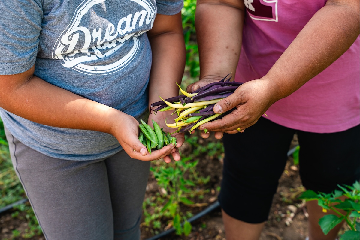 Re:Vision brings families and communities together to source and grow fresh foods. | Photo by Behind the Apron Media