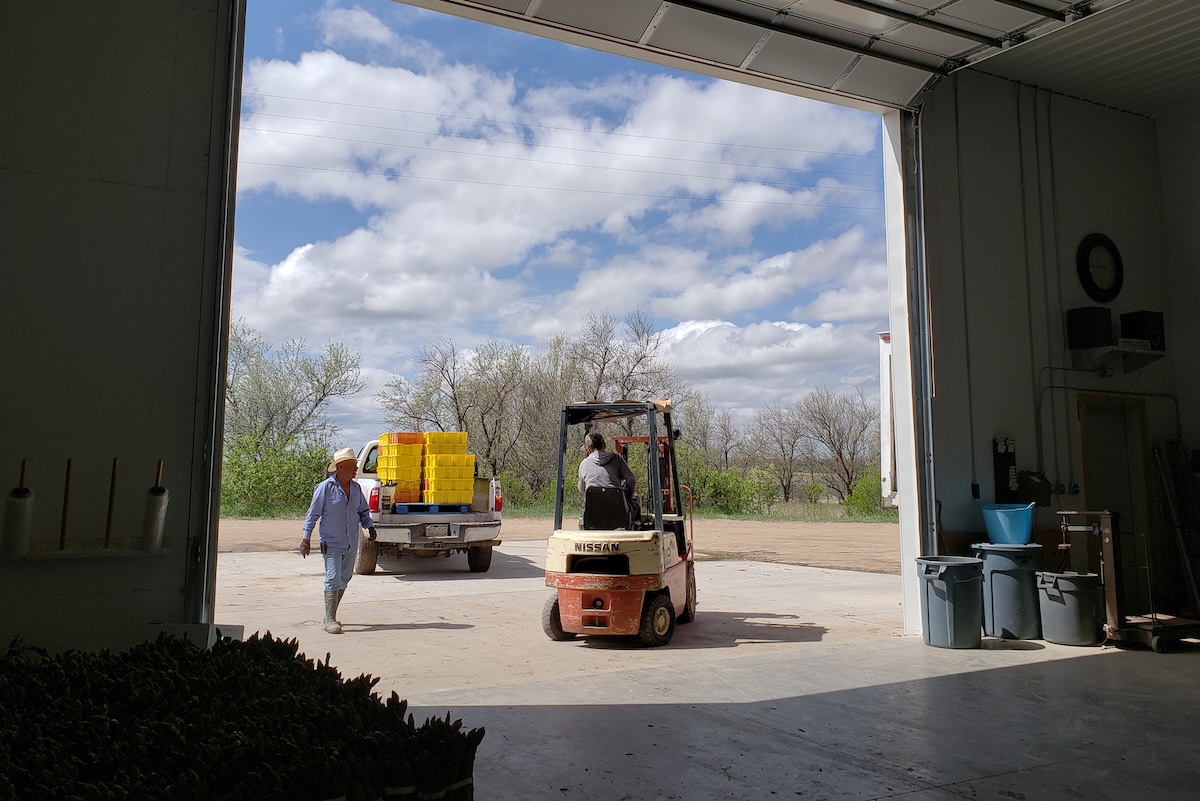 Inside the production and storage shed prior to the fire. | Photo by Linnea Covington