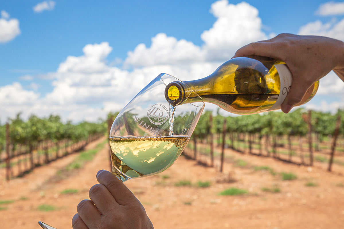 Pour a glass of great Arizona wine. | Photo courtesy of LDV Winery