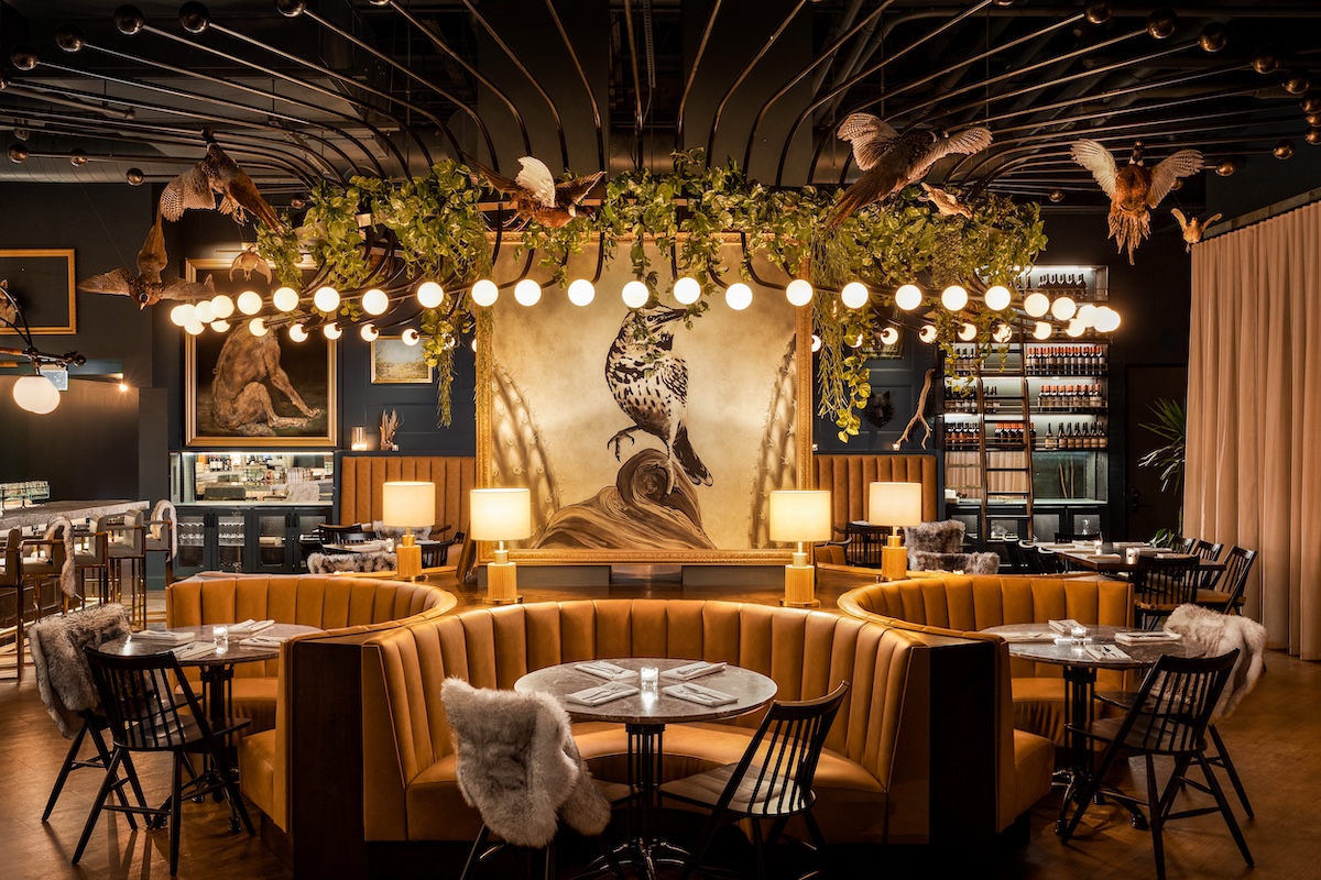 PHX_wren__wolf_by_pretty_decent_concepts - DiningOut Wren & Wolf, where chef Ivan Gonzalez worked. | Photo courtesy of Pretty Decent Concepts