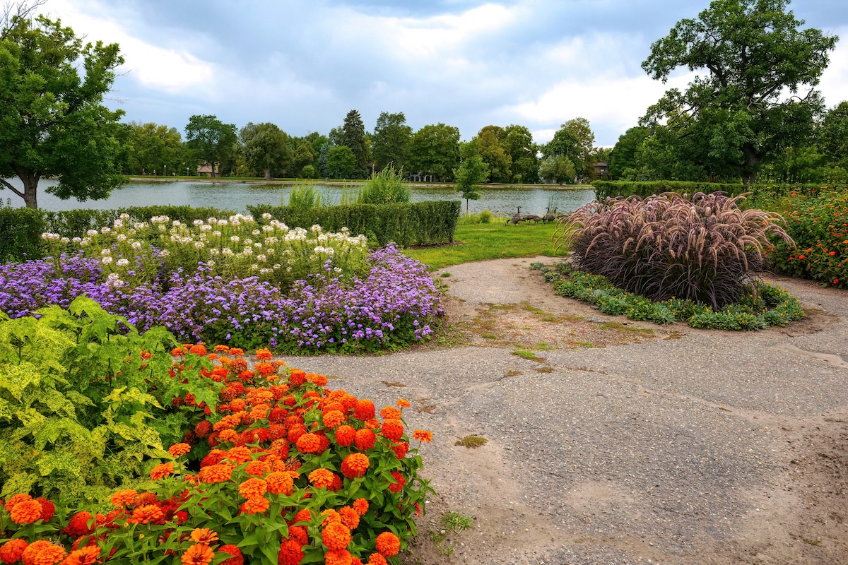 Colorful flower beds along a gravel path beside a lake in a well-kept park garden.
