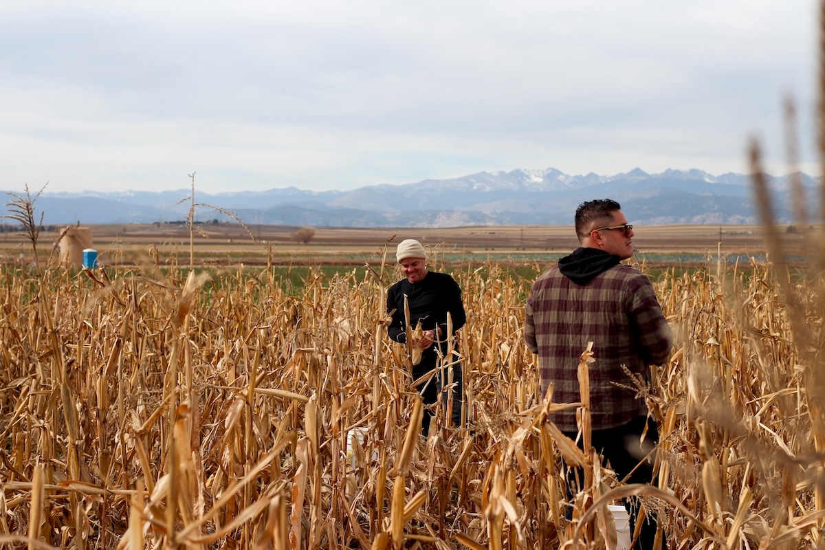 DEN_Johnny_and_Kelly_at_MASA_by_Jimena_Zamora - DiningOut Chefs Johnny Curiel and Kelly Whitaker looking over their corn fields. | Photo by Jimena Zamora