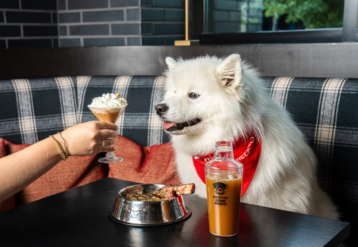 Virgin Hotels DAL - DiningOut Virgin Hotels Dallas celebrates National Dog Month with a special menu of “puptails” at Commons Club, complete with broth, whipped cream, and a Brutus Broth biscuit. | Photo by Virgin Hotels