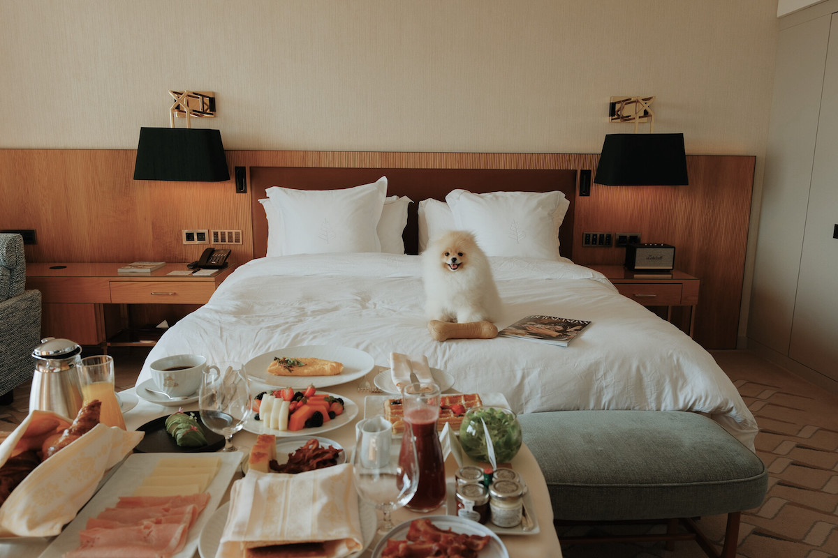 A four-legged guest enjoys the suite life at Four Seasons Hotel Atlanta, complete with breakfast in bed and plenty of room to lounge. | Photo by Four Seasons Atlanta
