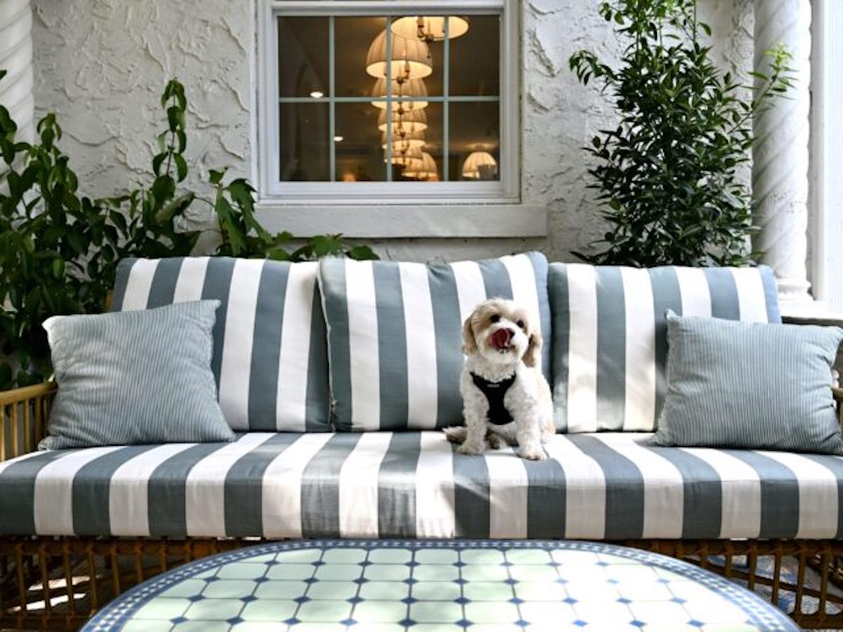 Hotel Granada makes a stylish home base for pups exploring Midtown Atlanta and its many dog-friendly destinations. | Photo by Hotel Granada Midtown Atlanta