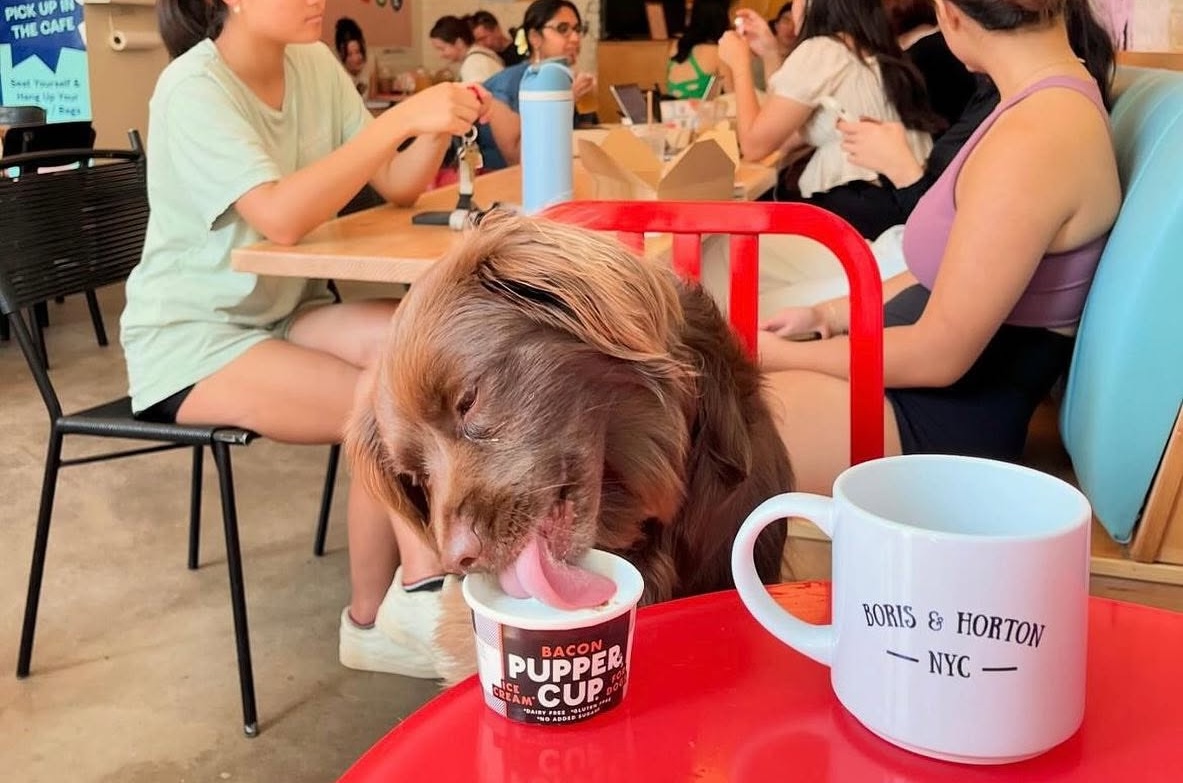 Pupper Cup and a coffee cup and all your friends. | Photo courtesy of Boris & Horton