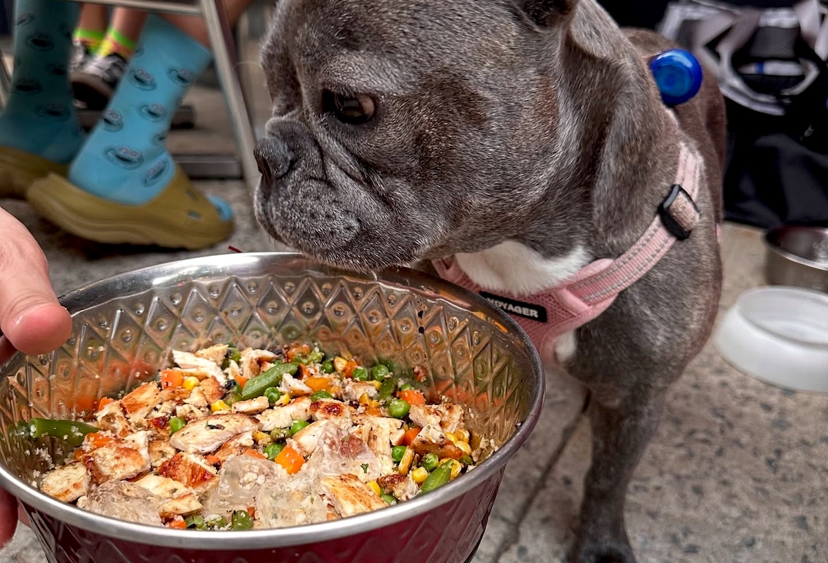 At this popular NYC spot you can get a special meal for your dog. | Photo courtesy of Judy Z's