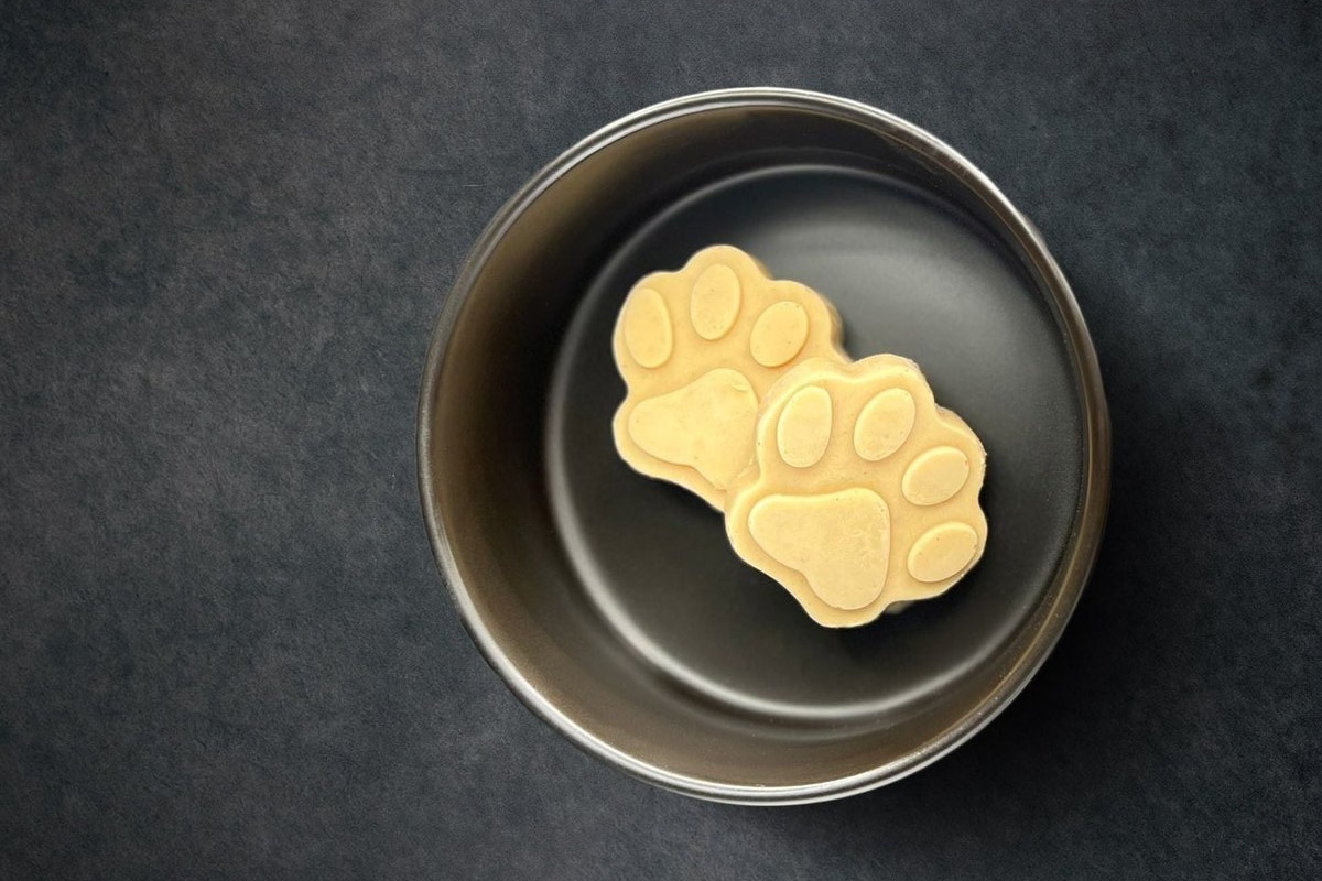 Get an order of Pup'sicles for your best friend. | Photo courtesy of Loulou Petit Bistro