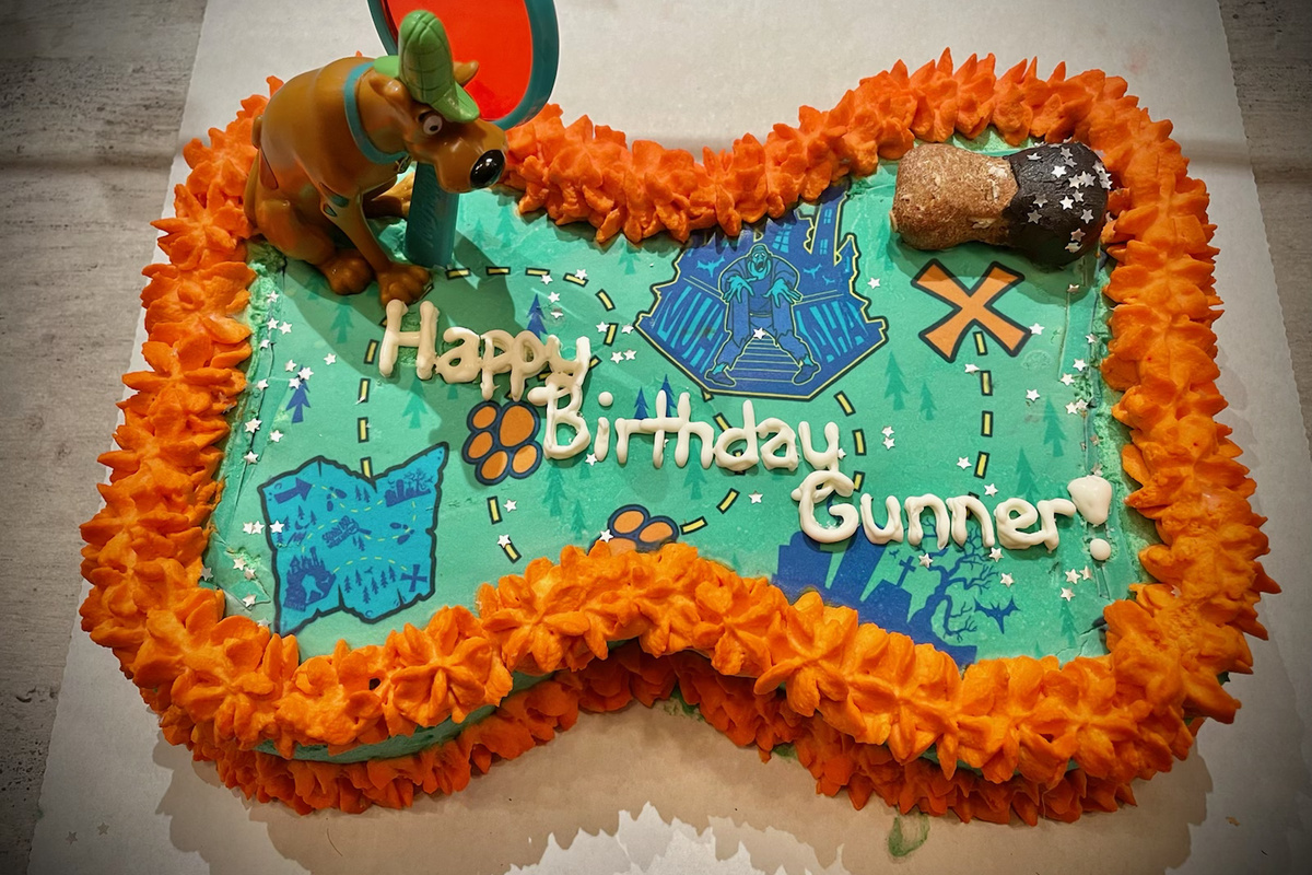 Adventure-themed bone-shaped birthday cake for Gunner. | Photo courtesy of Smelly Dog Bakery
