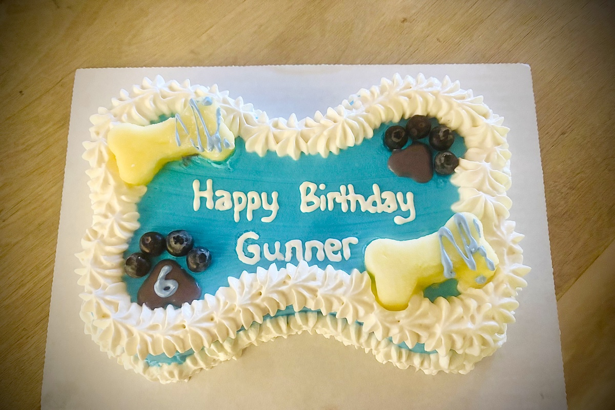 One of the many bone-shaped birthday cakes for Gunner. | Photo courtesy of Smelly Dog Bakery
