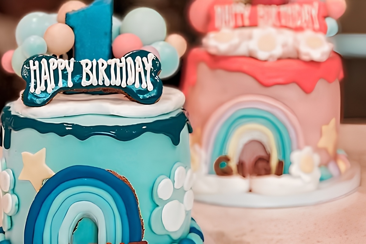 Custom dog cakes are the thing at this Valley bakery. | Photo courtesy of Bully Bros Bakery