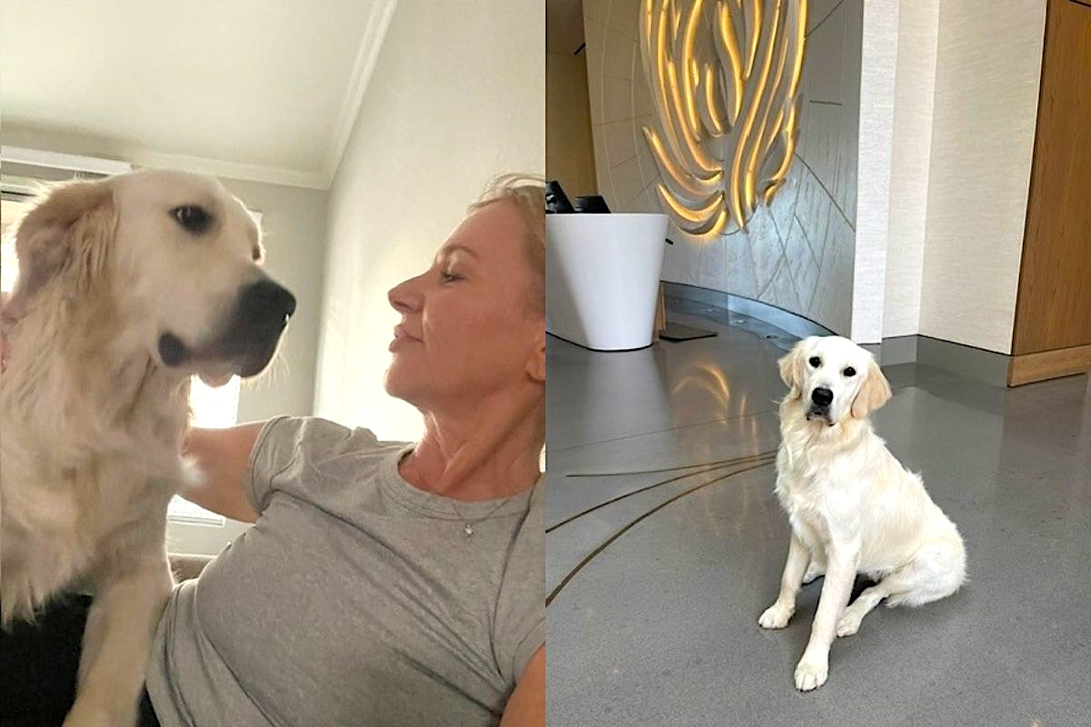 This is Brahma, Carrie Sotebeer's pup. | Photo courtesy of Carrie Sotebeer