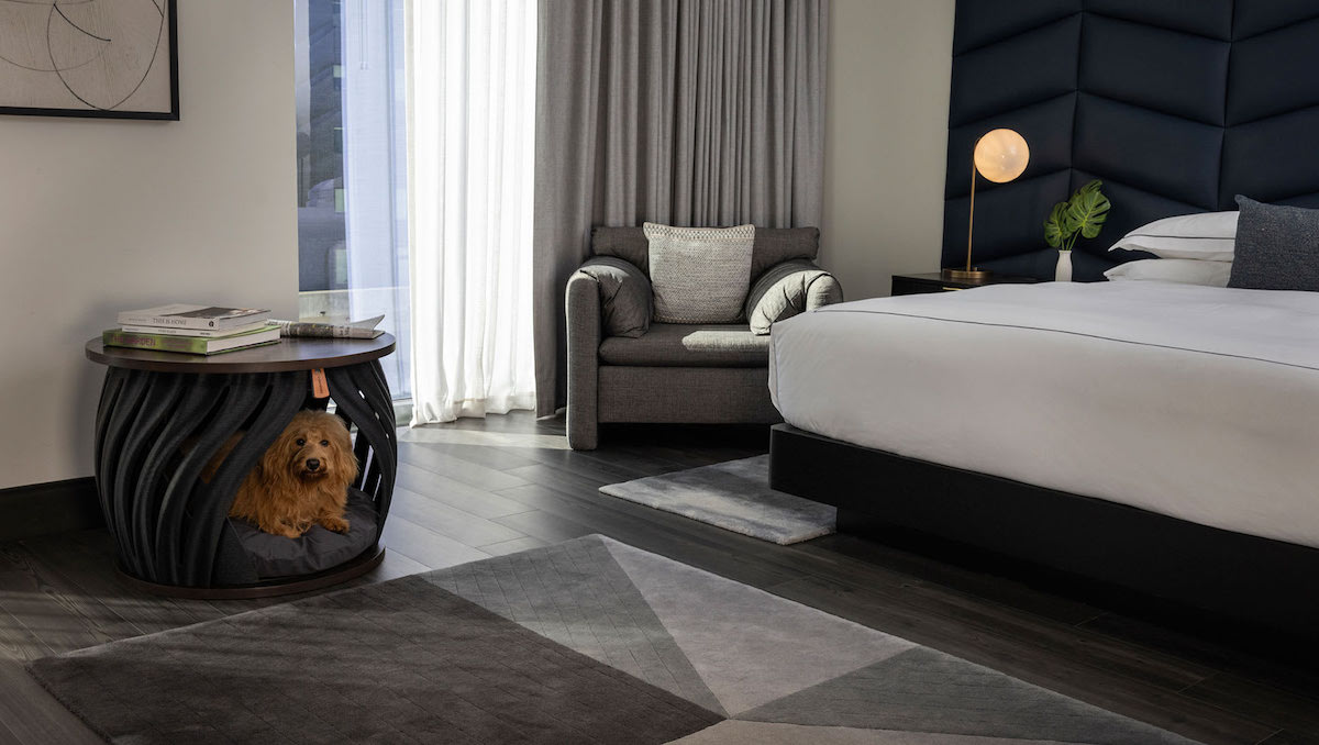 A pup settles into its own stylish sleep nook at Kimpton Shane Hotel, part of the hotel’s Pampered Pooch package. | Photo by The Kimpton Hotel Restaurant Group