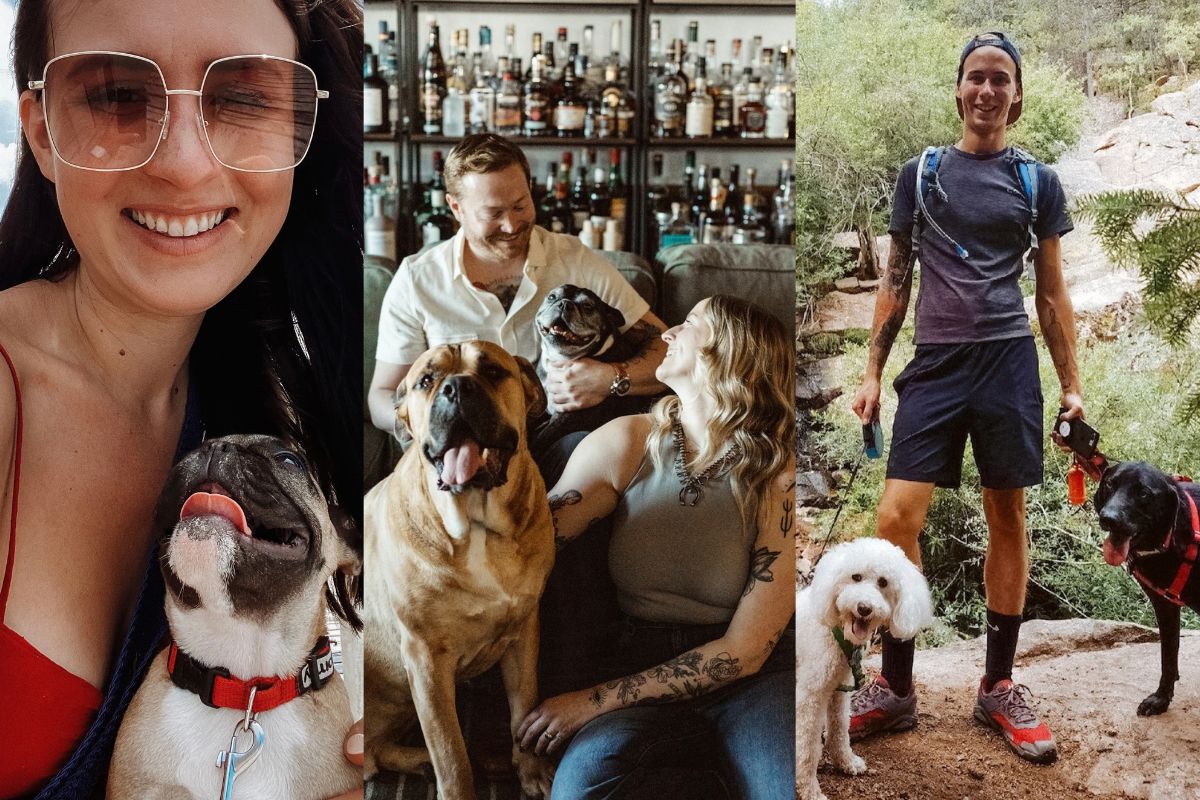 Meet the dogs behind Denver's best hospitality pros!