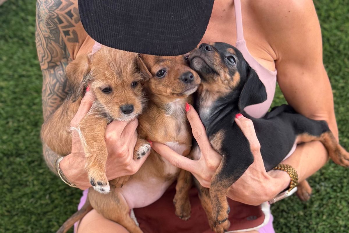 Jen Sevcik and a handful of her foster puppies. | Photo courtesy of Jen Sevcik